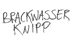brackwasser knipp